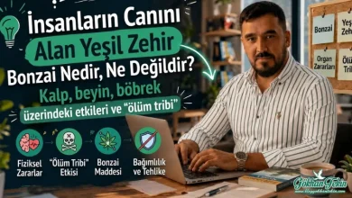 Bonzai Nedir?