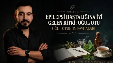 Epilepsi Hastalığına İyi Gelen Bitki; Oğul Otu