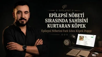 Epilepsi Nöbeti Sırasında Sahibini Kurtaran Köpek